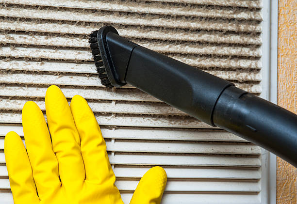 Best Affordable Duct Cleaning Services  in South Bend, IN